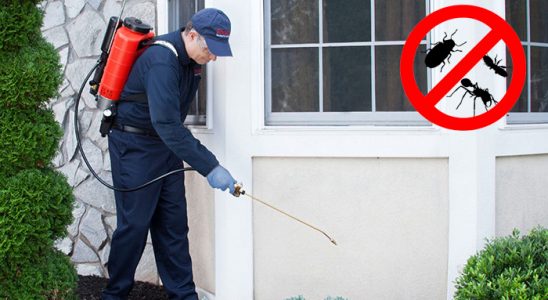 Başmakçı Karınca İlaçlama böcek ilaçlama ve haşere kontrolü — ilaclama-tr.com